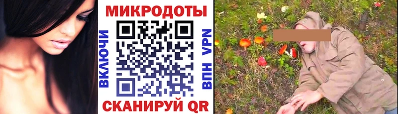 маркетплейс официальный сайт  как найти наркотики  mega ONION  Полесск  Псилоцибиновые грибы Psilocybine cubensis 